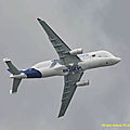 Airbus A 330-743L Beluga XL - TLS_02 HL_GF