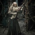 Gandalf The Hobbit The Desolation of Smaug