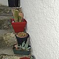 _DSC0050