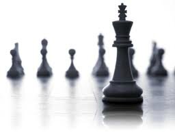 Conseil Organisation & Management