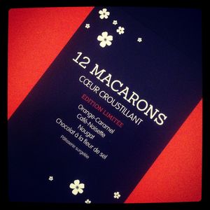 Macarons_de_No_l__Picard_2012