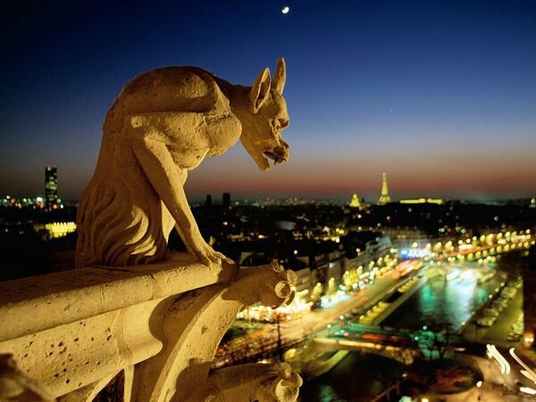 notre-dame-gargoyle_8845_600x450