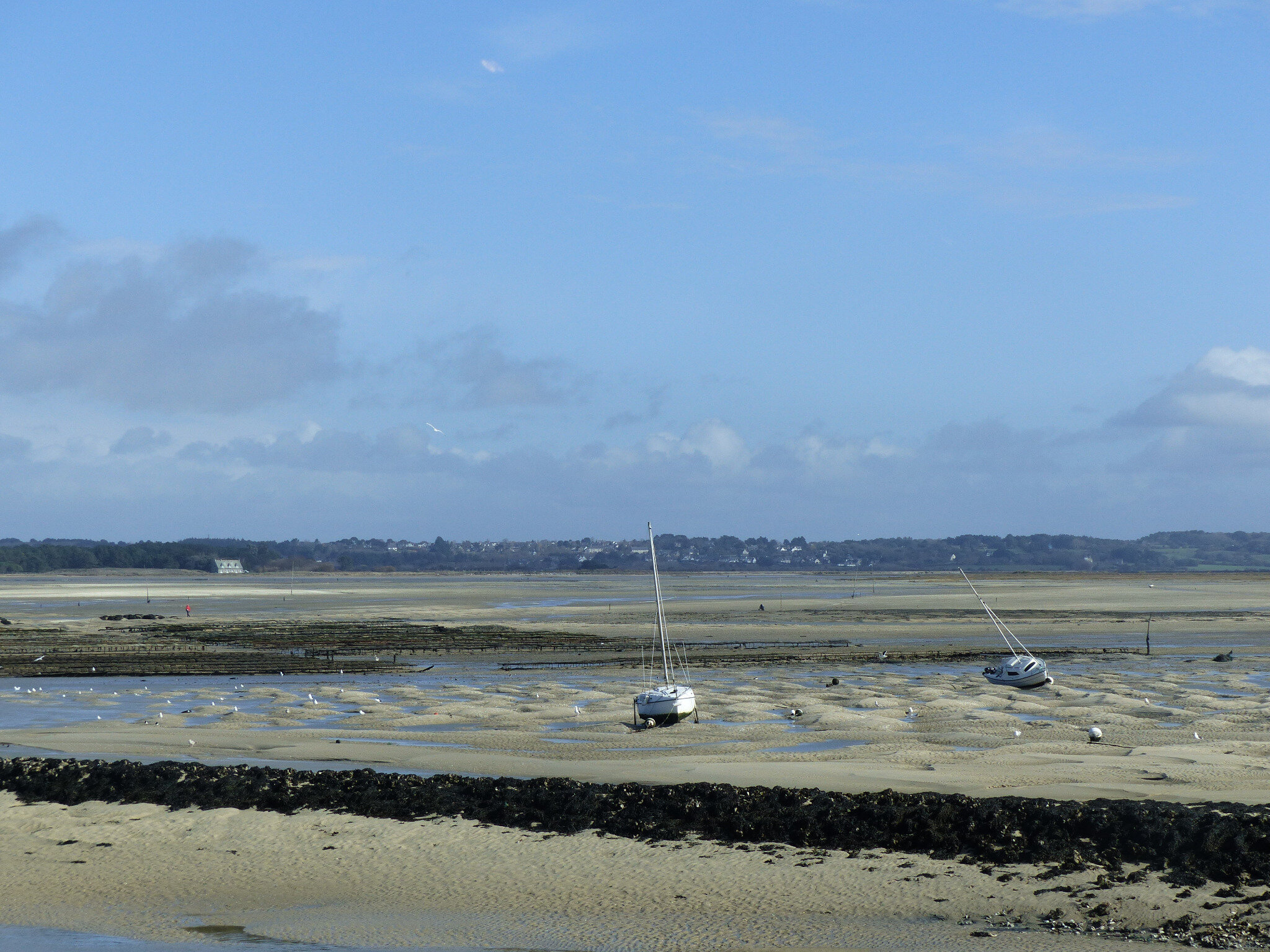 Marais salants de Guérande — Wikipédia