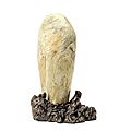A rare and unusual petrified wood scholar's rock, qing dynasty