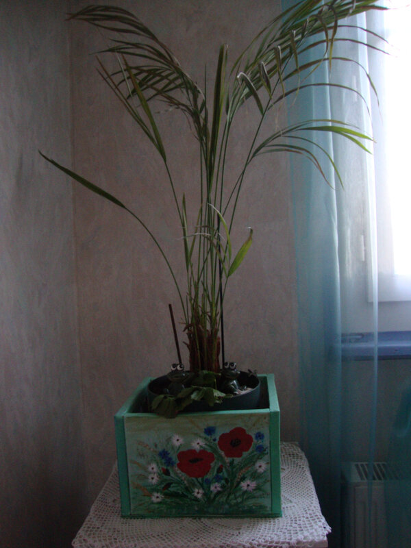 DSC06055