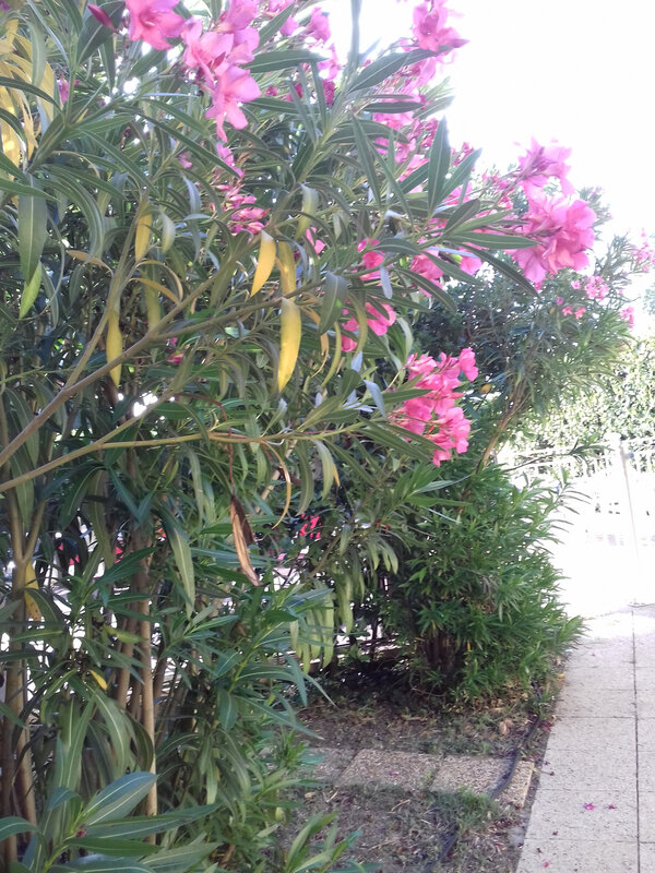 20180623_081155