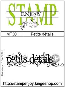 MT30- petits détails (2)