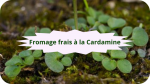 10 CARDAMINE(1)Fromage frais à la cardamine-modified