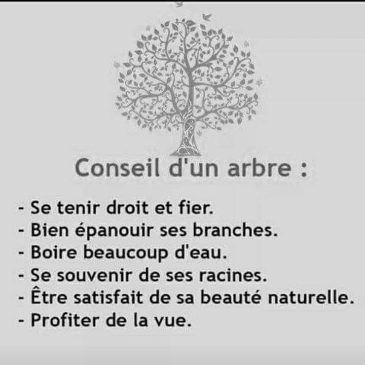 Citations Arbre Images Du Net Fleurdel Art