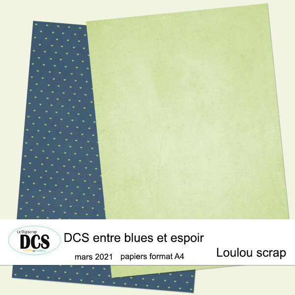 DCS  entre blues et espoir - Page 2 128813308