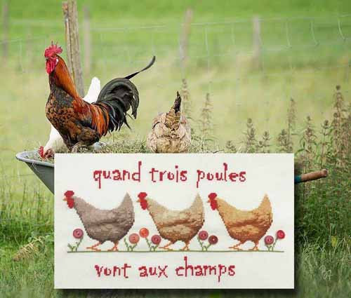 quand trois poules