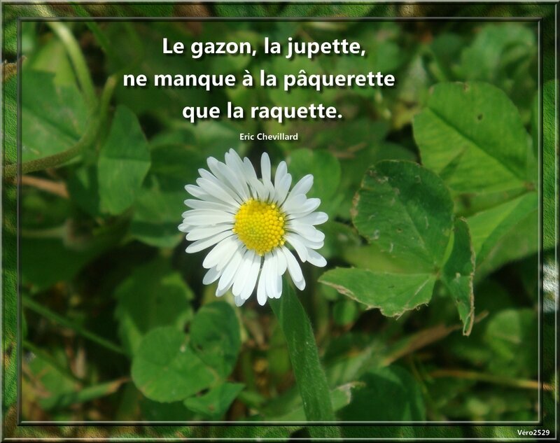 Citation La Mechancete Boit Elle Meme La Plus Grande Partie De Son Venin Seneque Mosaiques De Lectures Et D Images