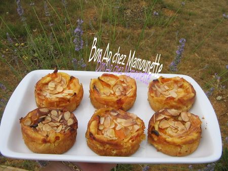 Petits_flans_abricot_s_aux_amandes_effil_es_013