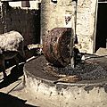 10305057_10202529641734801_7687126945807142930_n