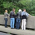 IMG_0439