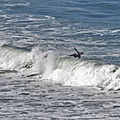 IMG_8115