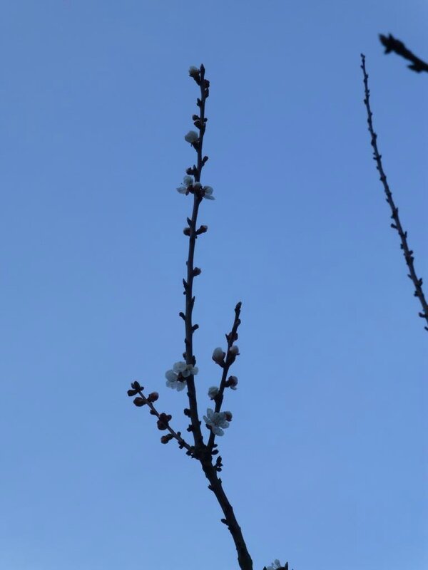 P1000655