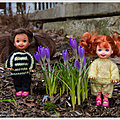 IMG_3419-1
