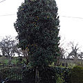 20190324_144749