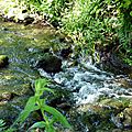 P1060883 - Copie