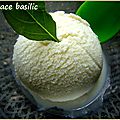 Sorbet basilic