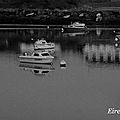 DSC05956