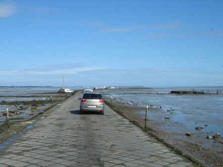 DSC01441