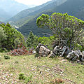 P1240990
