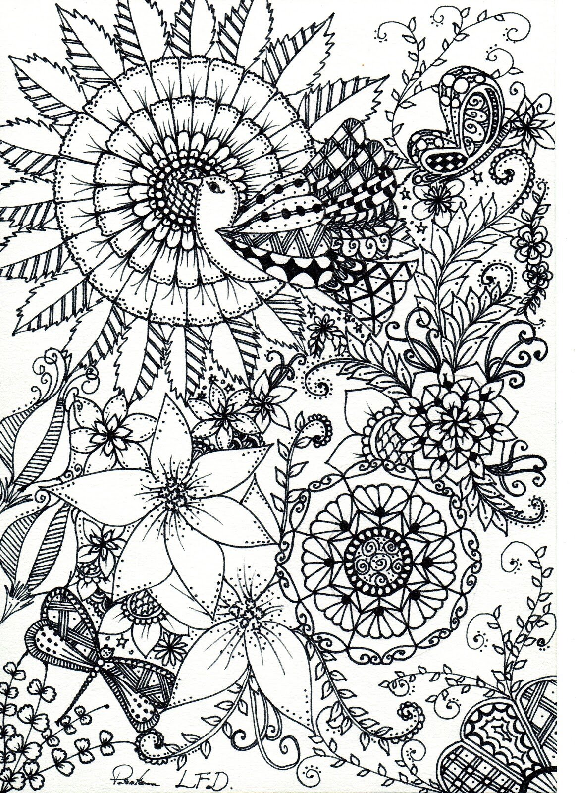 Coloriage Oiseau Papillon Libellune Zentangle