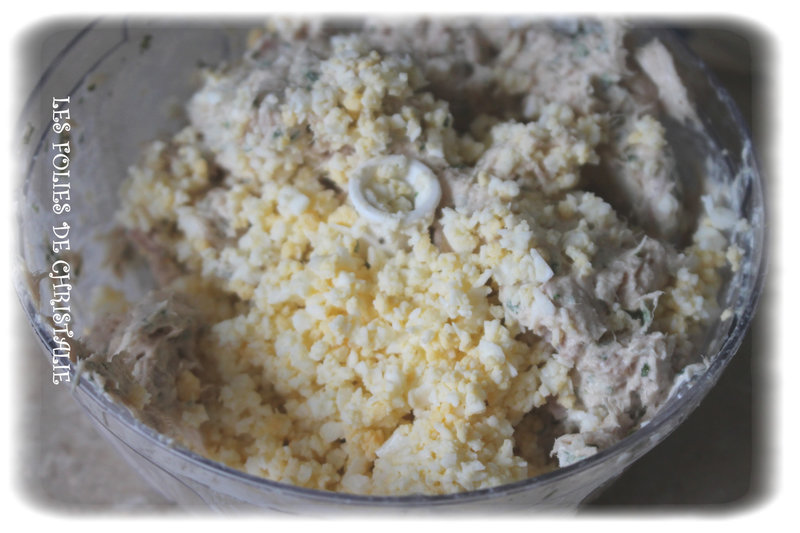Rillettes de thon 1