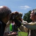 Elfics_2015_dimanche (46)