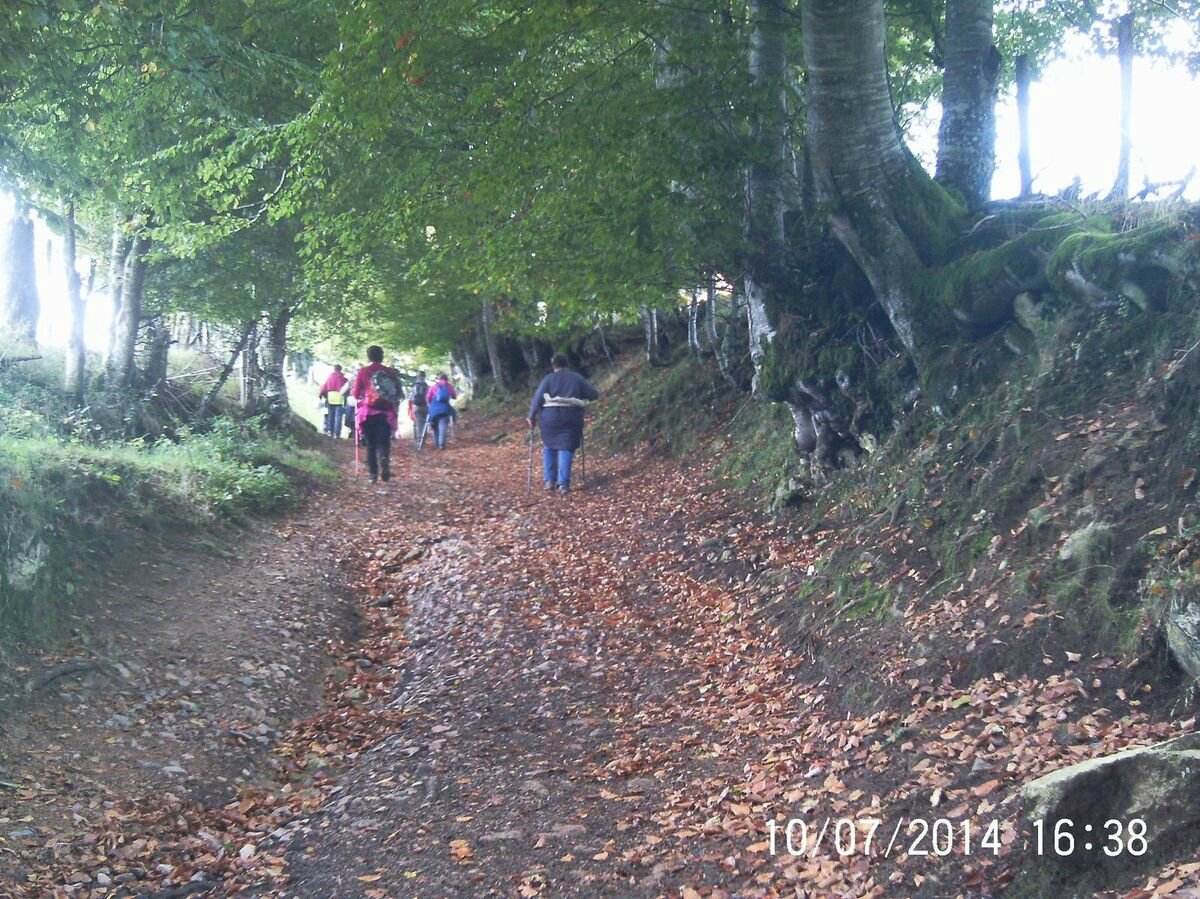 Randonnée du 7 octobre La Rivière Noire (Loire) Randonnées Sportives en Montagne Bourbonnaise