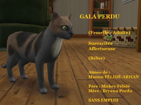 GALA PERDU