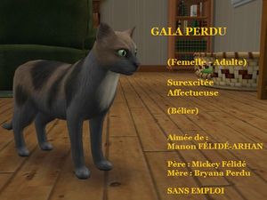 GALA PERDU