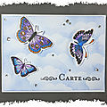 Carte à secouer : les papillons animés de jennifer mcguire