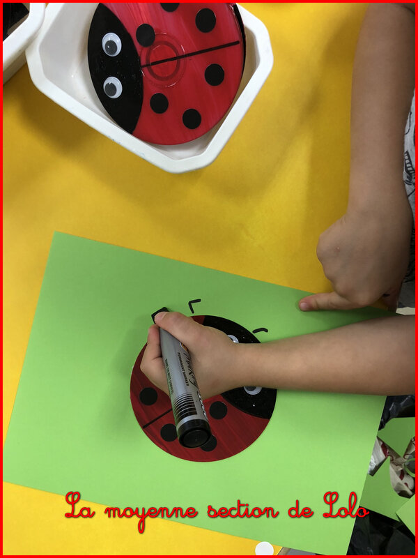 La Coccinelle Mal Lunee La Moyenne Section De Lolo La Coccinelle Mal Lunee La Moyenne Section De Lolo