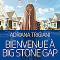 Bienvenue à big stone gap, adriana trigiani