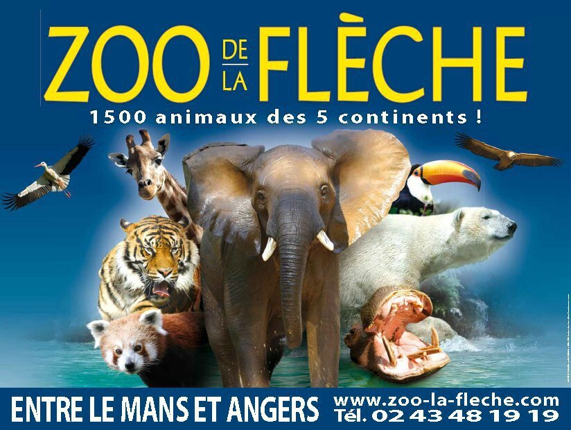 Distribution De Une Saison Au Zoo affiche - Photo de f.PRÉSENTATiON. - une SAiSON au ZOO