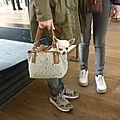 Photo du dimanche : madame promène son chien