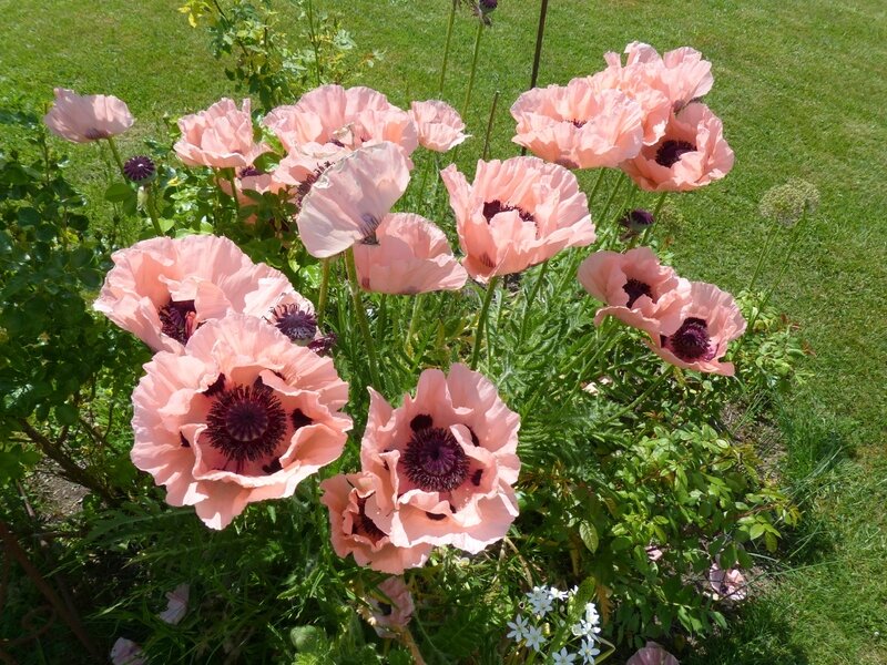 P1670021