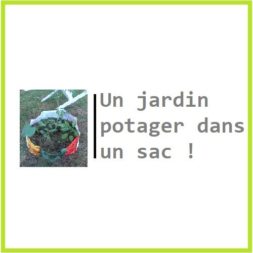 Un jardin potager dans un sac