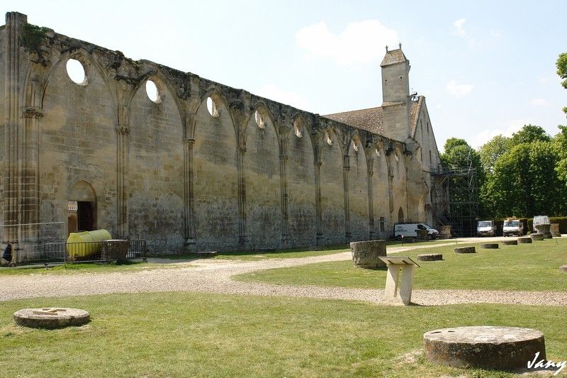 DSC06005