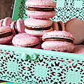Macaron chocolat cassis et conseils pour les réussir 