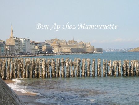 Saint Malo juin 2013 067