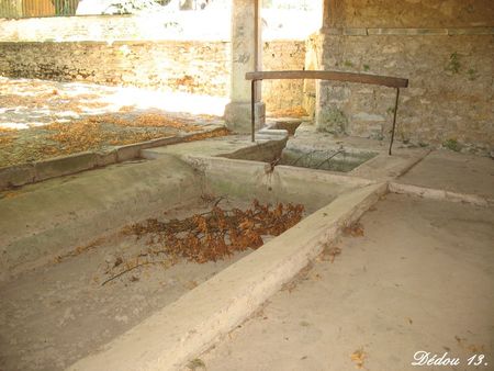 Photo_22700