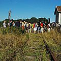 IMGP7849