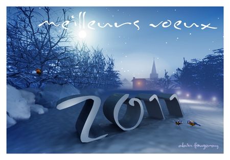 village_2011_copie_1_