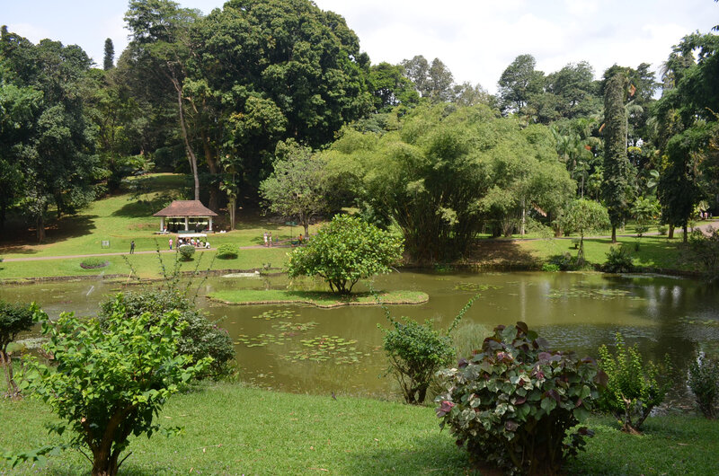Botanic garden 11