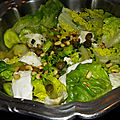 Salade canicule