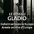 Réseaux pédophiles d'élite (partie iii): en belgique, gladio tirait les ficelles du réseau